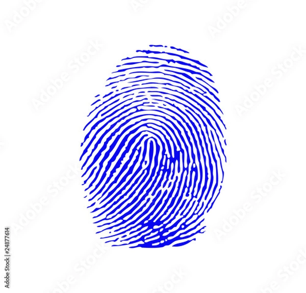 Fototapeta Blue fingerprint vector