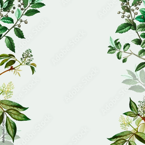 Fototapeta Green botanical frame