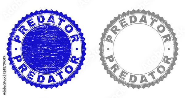 Fototapeta Grunge PREDATOR stamp seals isolated on a white background. Rosette seals with grunge texture in blue and grey colors. Vector rubber stamp imitation of PREDATOR title inside round rosette.