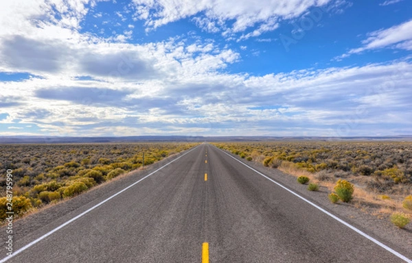 Fototapeta "The loneliest road in America US 50" A view of the endless road, Highway 50 in Nevada. You see the empty road, Nevada desert and a cloudy blue sky. Nevada, USA.
