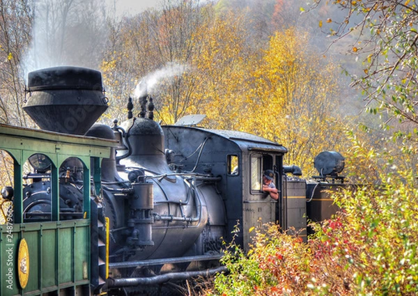 Fototapeta A vintage old train with thick smoke making its way through the forest in West Virginia. Shot near Cass, WV, USA.