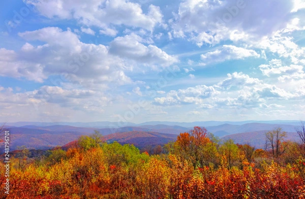 Fototapeta A vast amazing view of the mountains and hills of West Virginia showing the beautiful fall color palette and blue cloudy sky. Shot near Cass, WV.