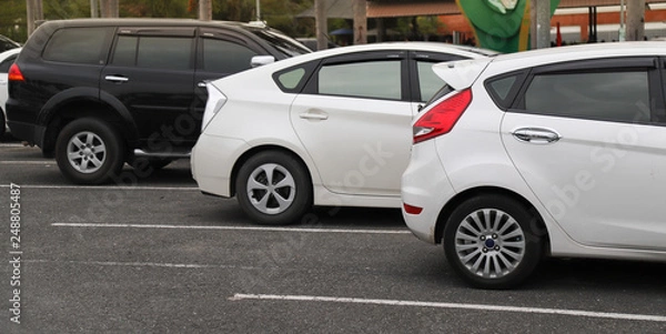 Fototapeta Closeup of back or rear side of white car and other cars parking in parking area in twilight evening. 