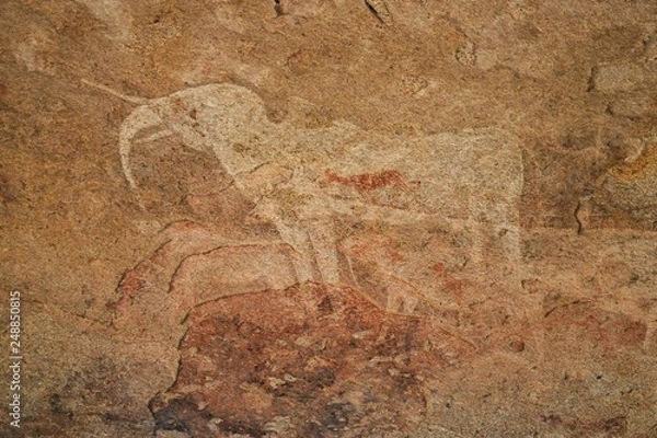 Fototapeta Felsmalereien auf der Farm Ameib im Erongo Gebirge in Namibia