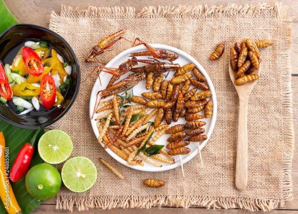 Obraz Mixed crispy worm and insects in a white ceramic plate with a wooden spoon on a wood table. The concept of protein food sources from insects. It is a good source of protein, vitamin, and fiber.
