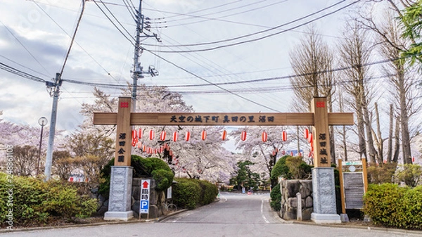 Obraz 春の沼田城址の風景