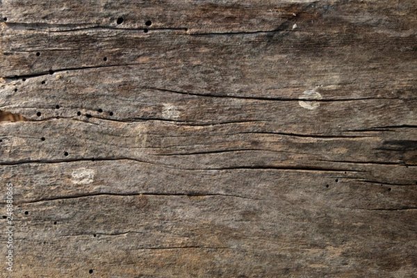 Fototapeta wood texture background closeup