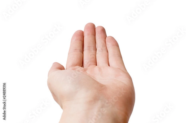 Fototapeta Open hand