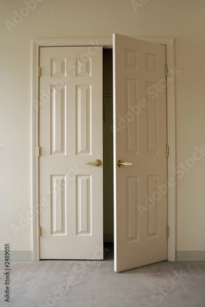 Obraz opening closet doors