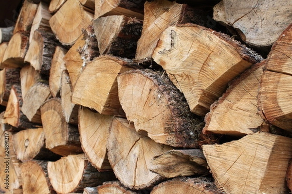 Fototapeta Rondins de bois