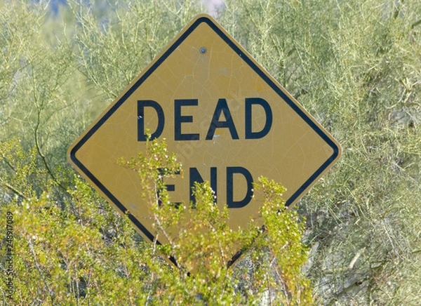 Obraz Yellow and black dead end traffic sign obscured by trees