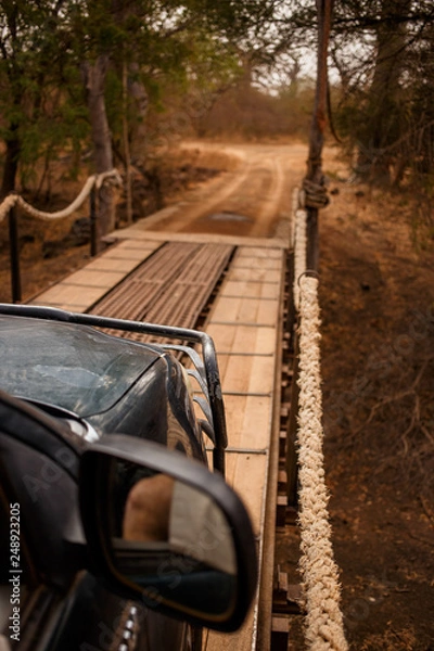 Fototapeta Jeep safari going through hinged bridge. Wild life in Safari. Baobab and bush jungles in Senegal, Africa. Bandia Reserve. Hot, dry climate. Vertical view from outside the car