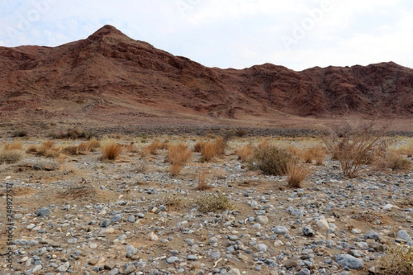 Obraz dried riverbed dry soil - Namibia Africa