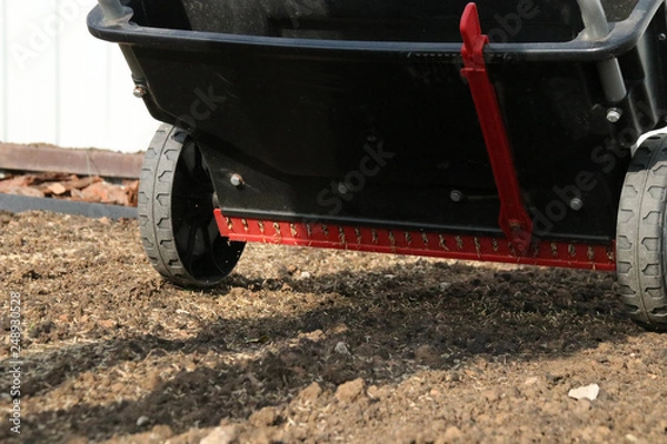 Fototapeta Sowing lawn grass seeds with a drop lawn spreader in the summer garden