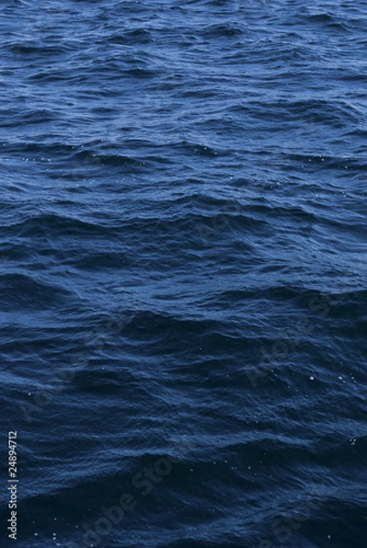 Obraz blue saltwater