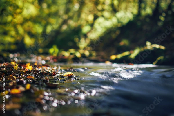 Fototapeta Long exposure of a river creek with a small waterfall. Sunset and strong detail bokeh view. blue calm warm water