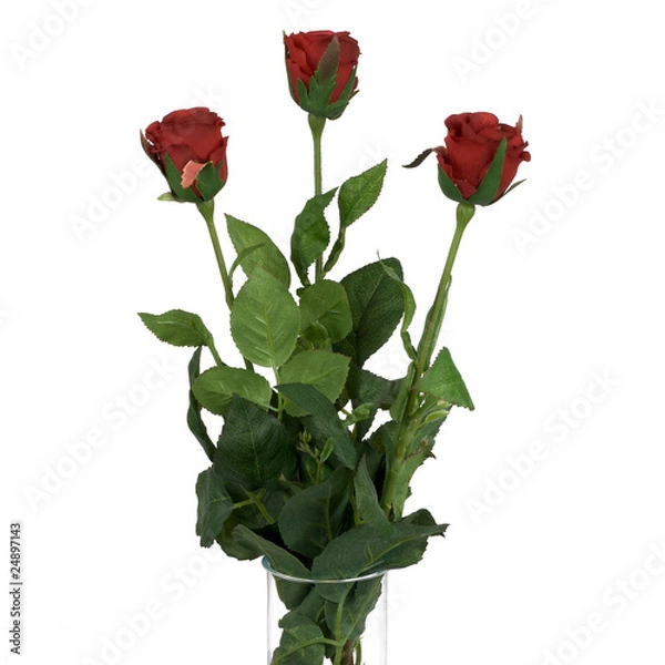 Fototapeta Red roses