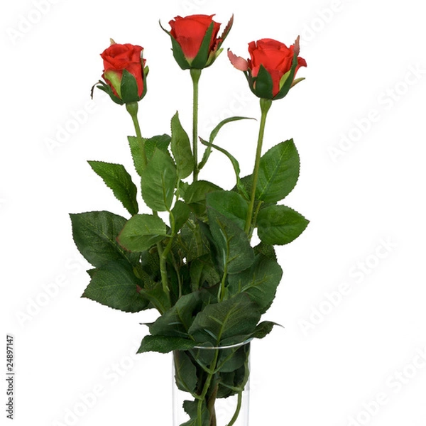 Fototapeta Red roses