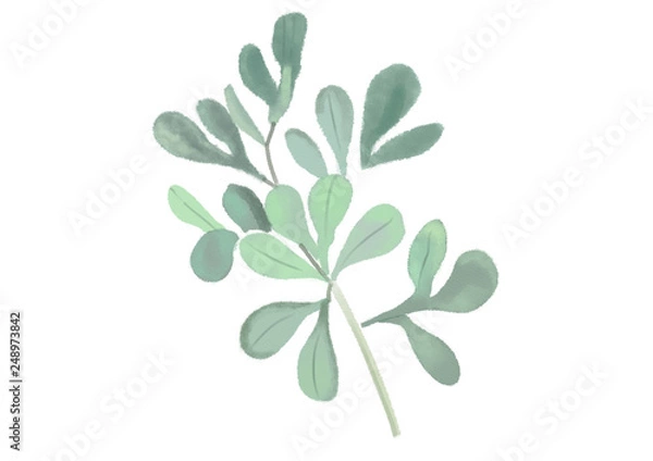 Obraz leaves