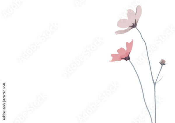 Obraz flowers