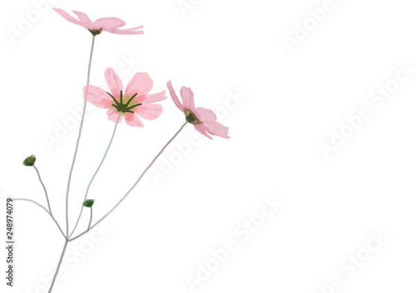 Obraz Flowers