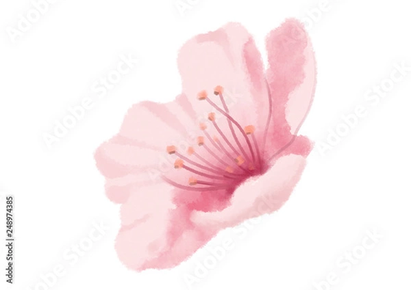 Obraz flower