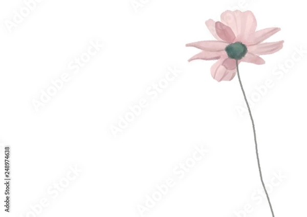 Obraz flower