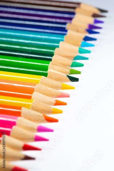 Fototapeta Colored sharpener pencils. Macro shot of many color pencils. 