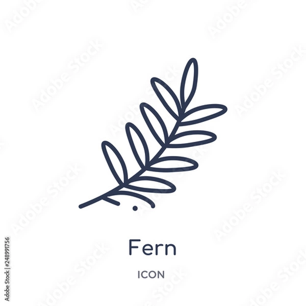 Obraz fern icon from nature outline collection. Thin line fern icon isolated on white background.
