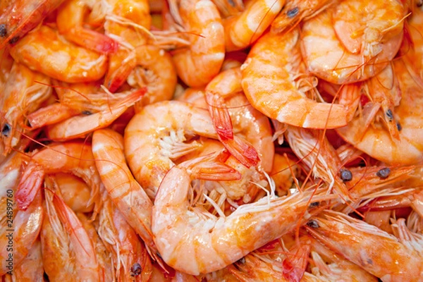 Obraz cooked shrimp in closeup as background