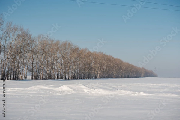 Fototapeta Winter forest. Field and forest under the snow. Winter in Siberia. Lots of snow in winter in the forest.
