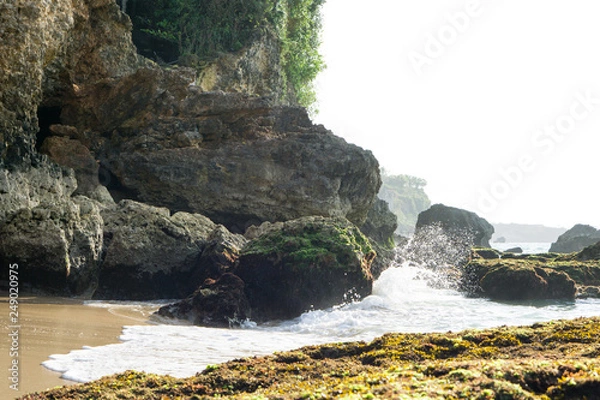 Obraz Wild tropical beach view in Bali, Indonesia
