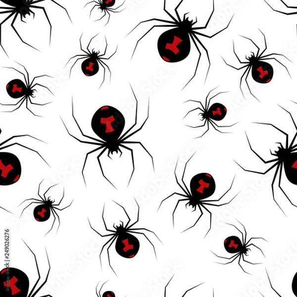 Obraz spider black widow in chaotic order