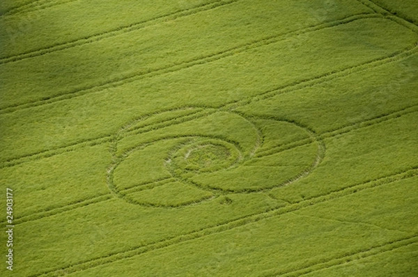 Obraz Crop circle vu d'avion