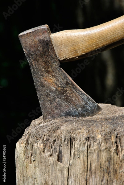Fototapeta Old Lumberjack's Axe stuck in a chopping block closeup