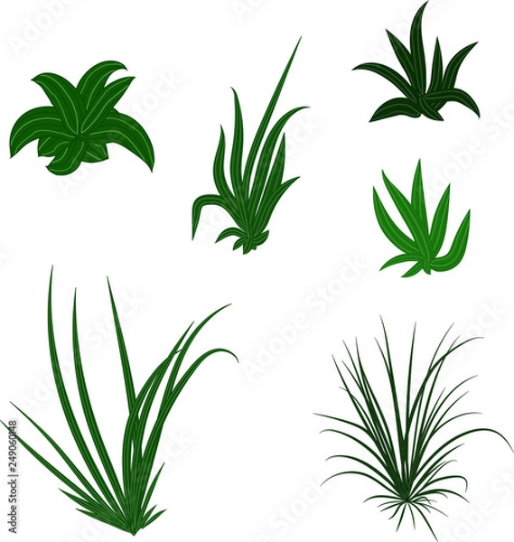 Fototapeta Green grass, bushes with long leaves. Vector images for fabric, clothes. Background or texture with plants.