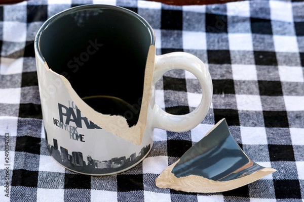 Obraz Mug cassé 1