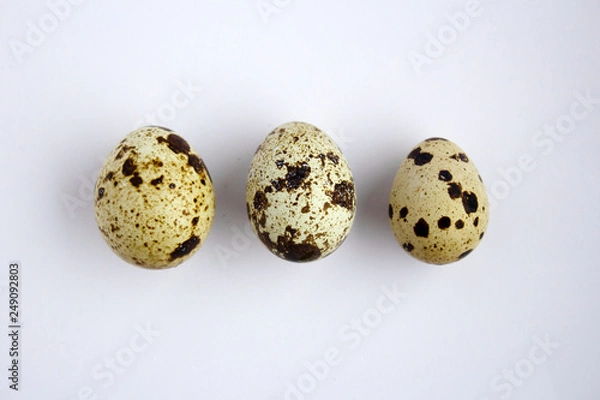Obraz quail eggs on a white background