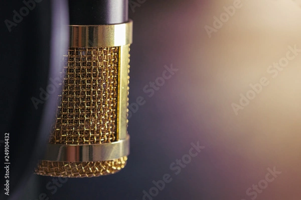 Fototapeta Close-up the head of condenser gold microphone. The light from right side. Artistic style. 