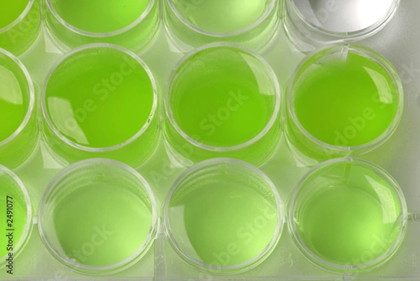 Fototapeta mdg-lab-05