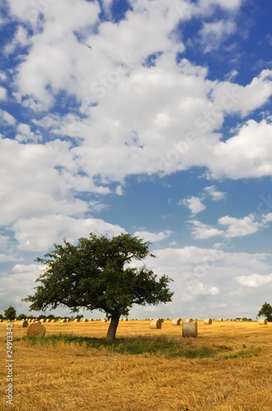 Fototapeta Strohballen