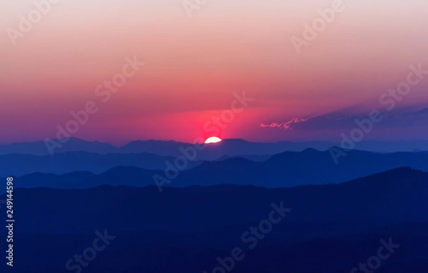 Obraz Forest Hill at evening