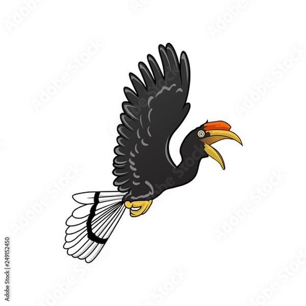 Obraz hornbill bird Flying