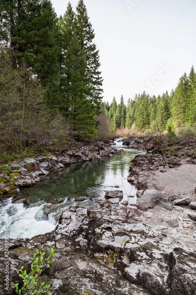 Obraz Upper Rogue River