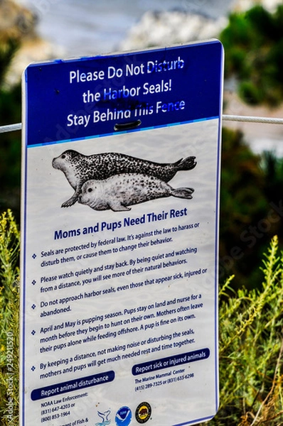 Obraz Harbor Seals Sign