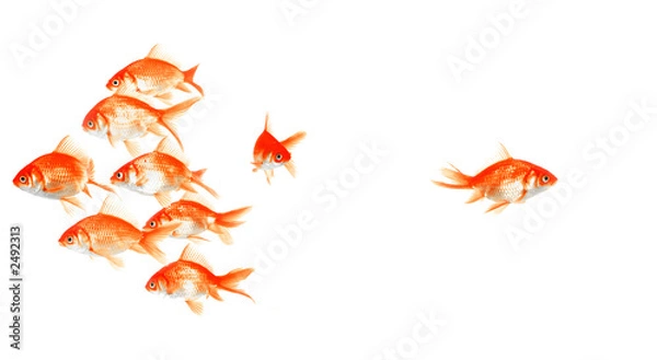 Obraz z tobą lub bez, pójdę