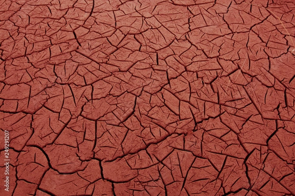 Fototapeta cracked earth texture