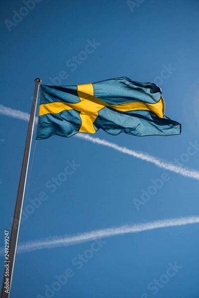 Obraz swedish flag
