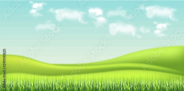 Fototapeta Green field and sky background Vector realistic. detailed 3d illustrations