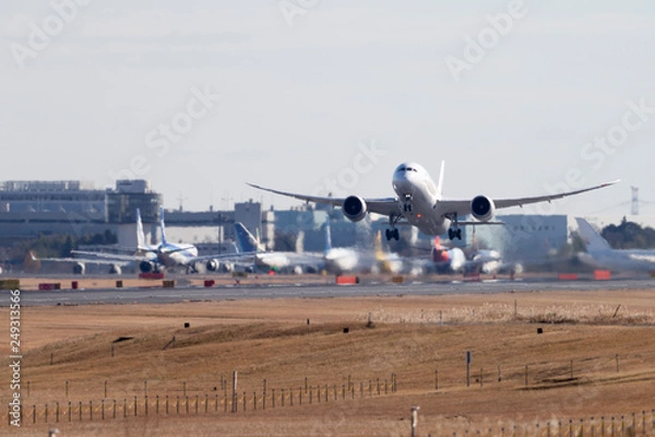Obraz 成田空港からの離陸#4
